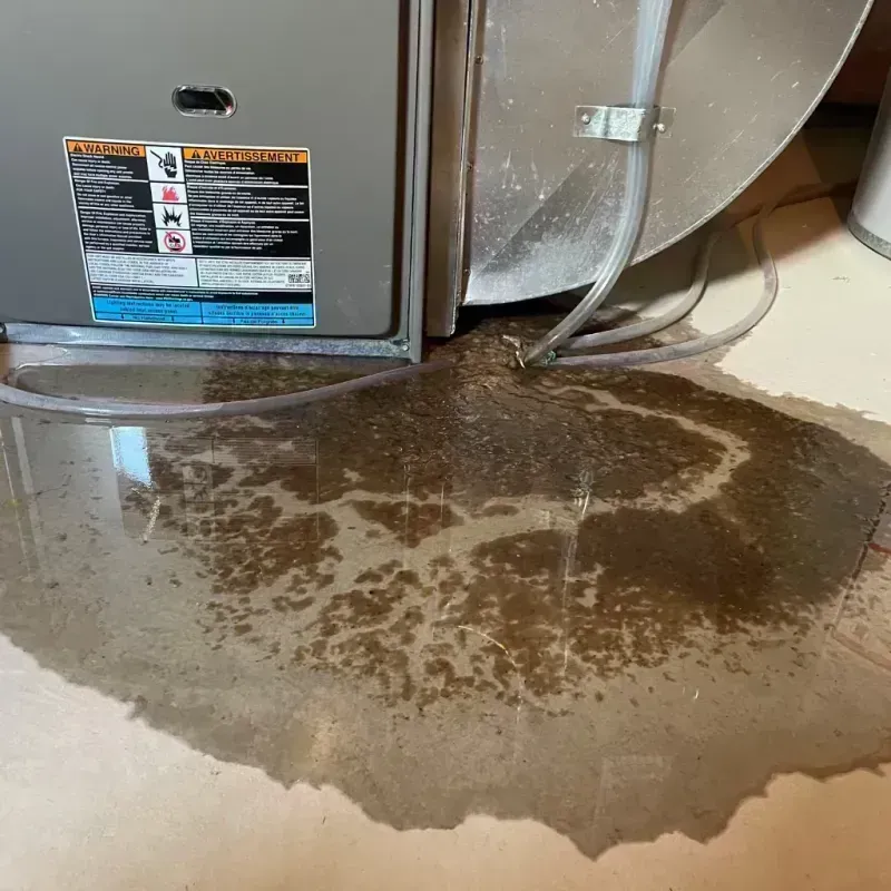 Appliance Leak Cleanup in Mansfield, OH